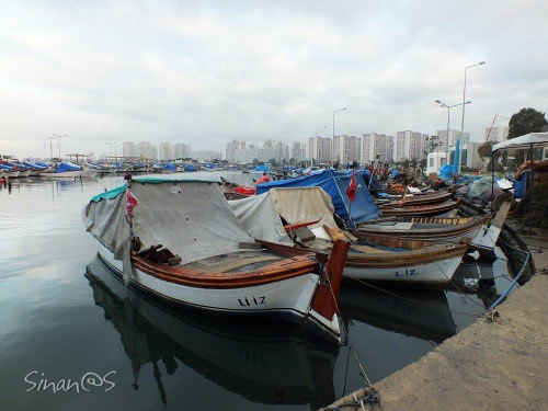 city and the fishing boats
