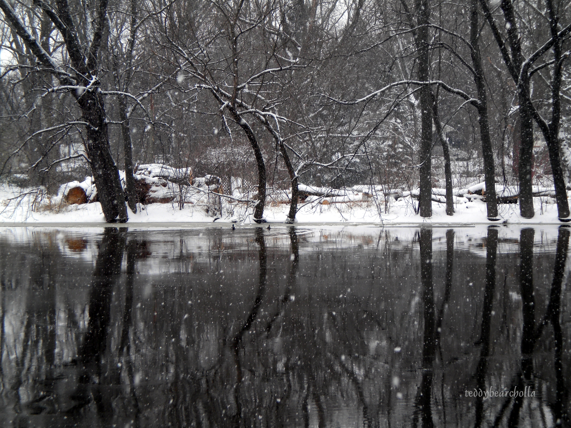 Winter reflections